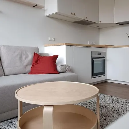 Stylish Studio In Central Ii Appartamento Vilnius