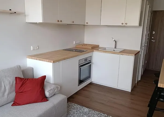 Stylish Studio In Central Ii Butas