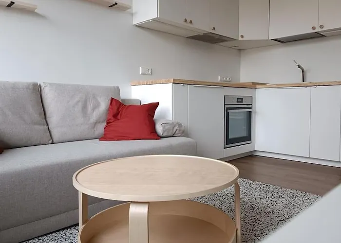 Stylish Studio In Central Ii 公寓 维尔纽斯